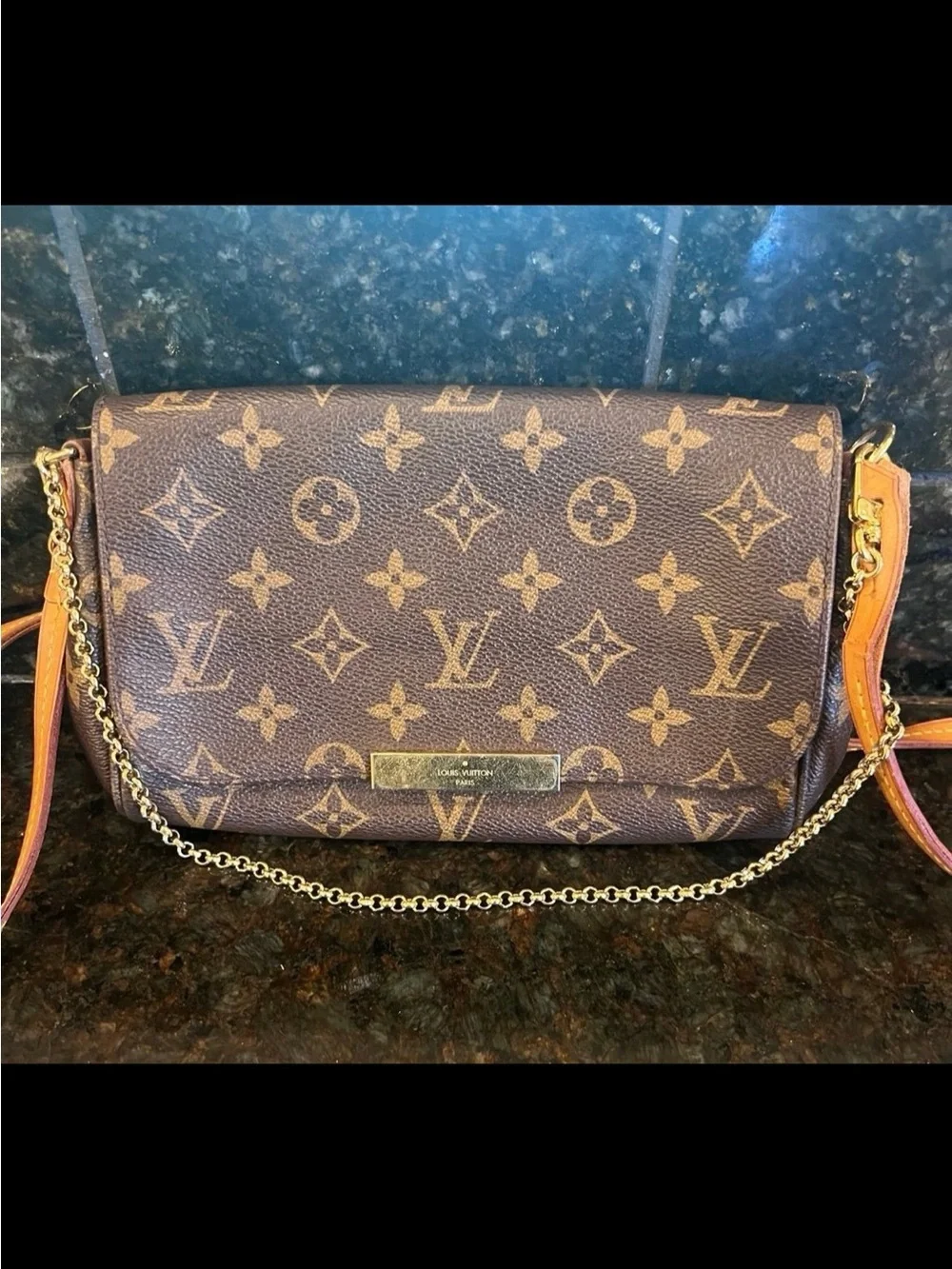 Louis Vuitton Favorite PM Monogram purse – Discontinued Style